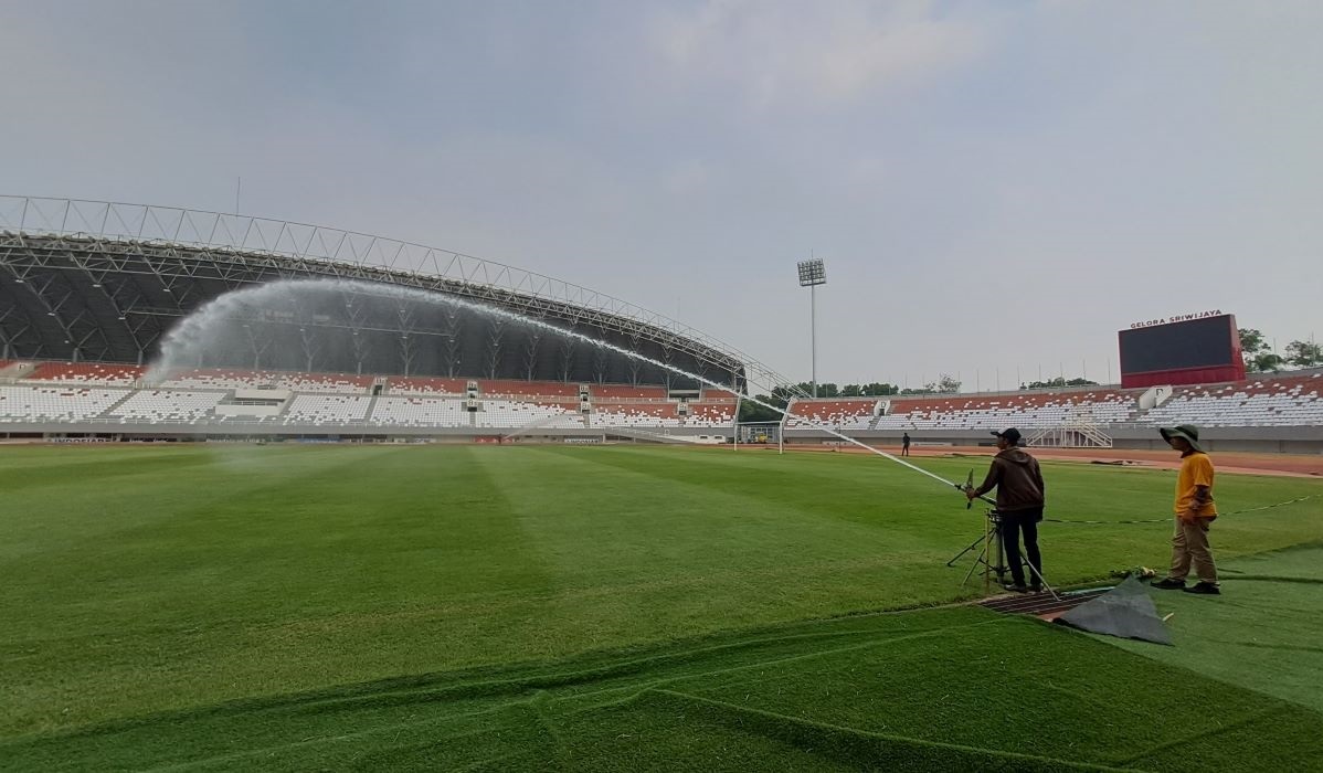 Rumput Lapangan Indonesia