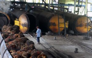Teknologi Buatan Indonesia